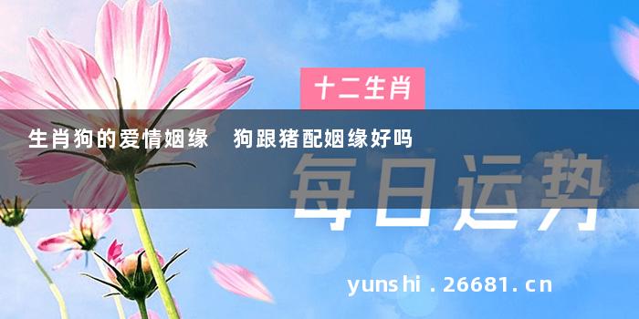生肖狗的爱情姻缘 狗跟猪配姻缘好吗